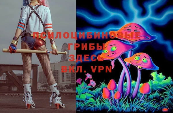 спайс Богданович