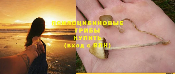 прущая мука Няндома