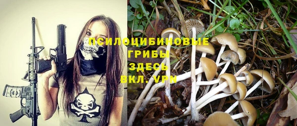 спайс Богданович