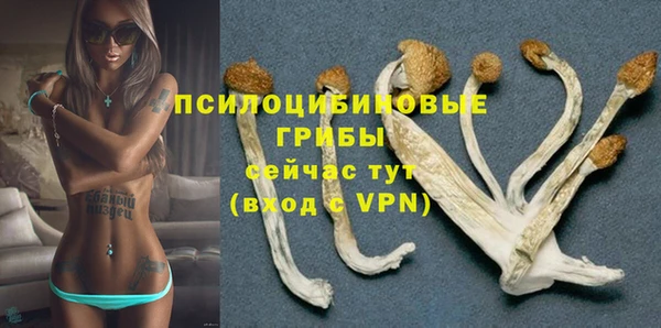 спайс Богданович