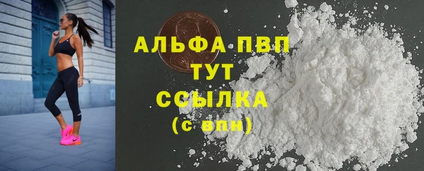 спайс Богданович